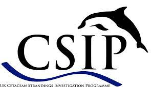 CSIP Logo