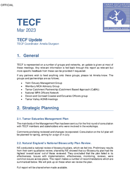 230215_TECF_Report