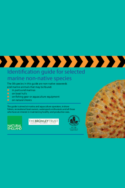 Appendix 1_Identification guide for selected marine non-native species
