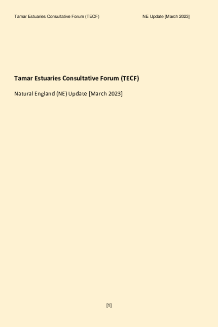NE Update for TECF [Mar 2023]