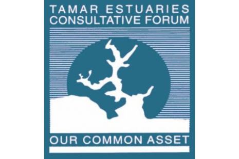 TECF logo
