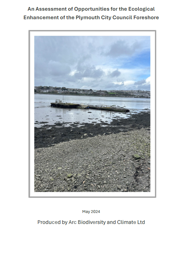 Document front cover